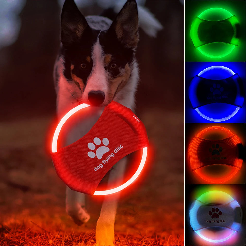 Dog Flying LED Discs