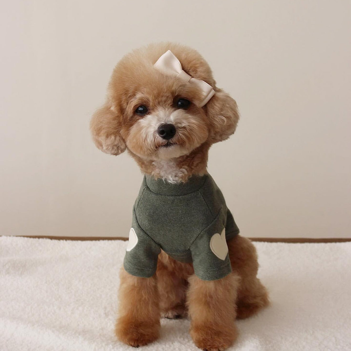 Dog Embroidery Sweater