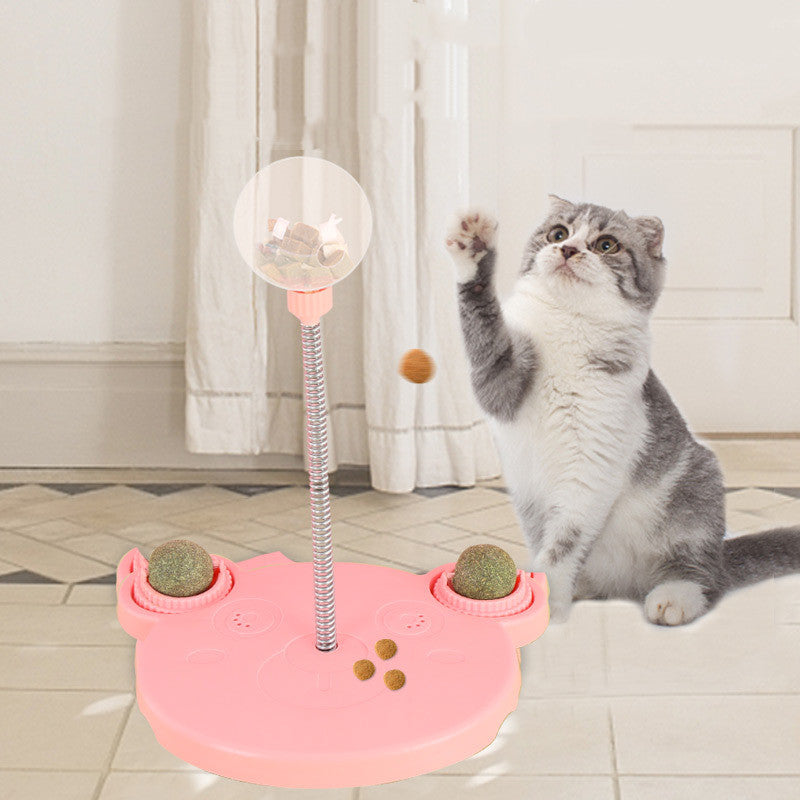 Pet Feeder Cat Toy Puzzle